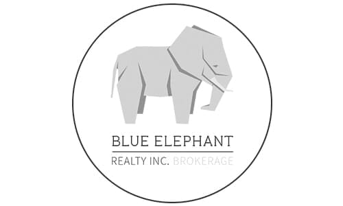 Blue-Elephant.jpg